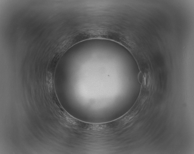 X0000060741251200511101059