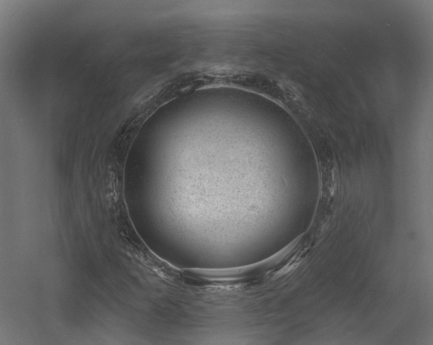 X0000060741253200511101059