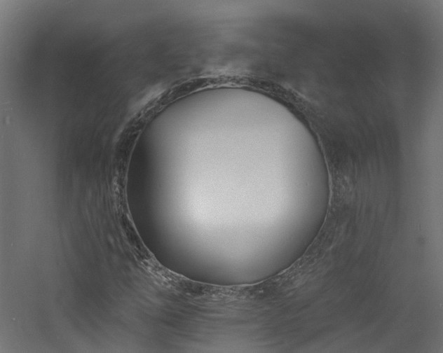 X0000060741254200511101059