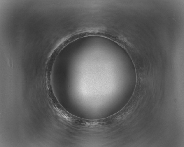 X0000060741256200511101059