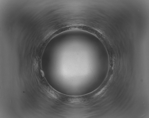 X0000060741257200511101059