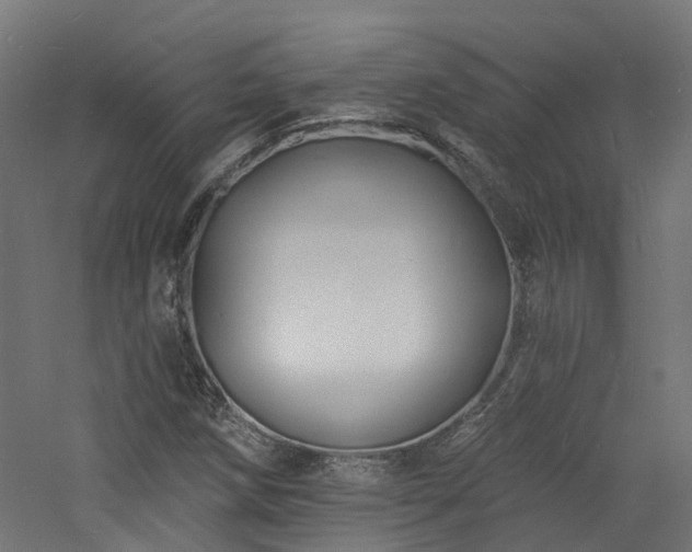 X0000060741258200511101059