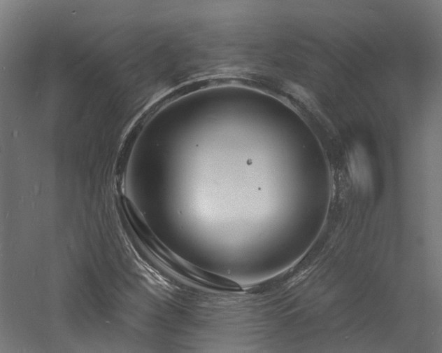 X0000060741260200511101058