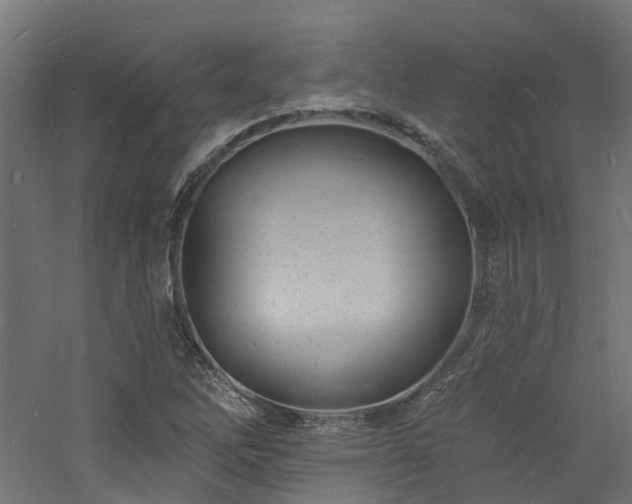 X0000060741262200511101058