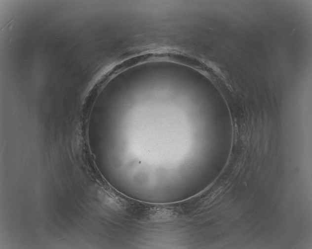 X0000060741263200511101058