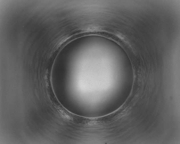 X0000060741265200511101058