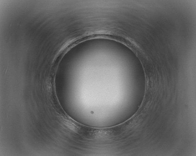 X0000060741266200511101058