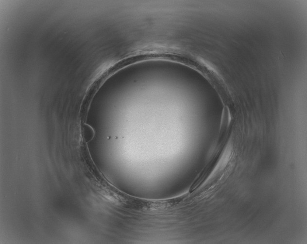 X0000060741267200511101058