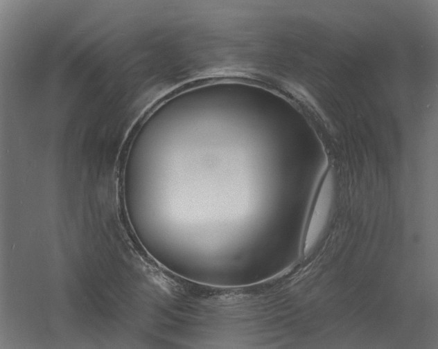 X0000060741268200511101058