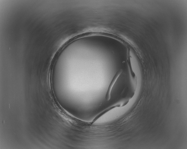 X0000060741272200511101058