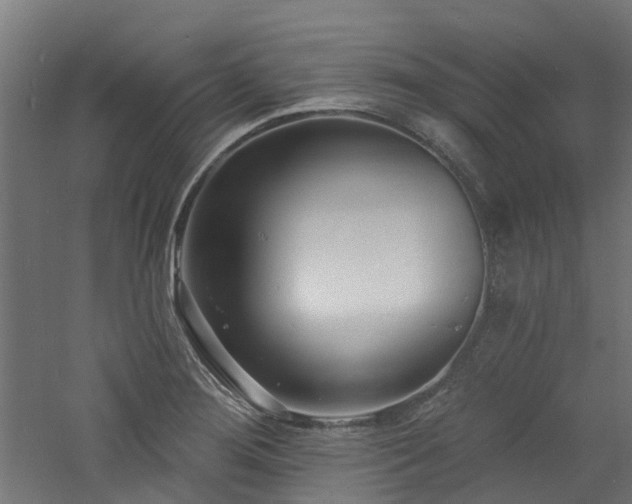 X0000060741276200511101058