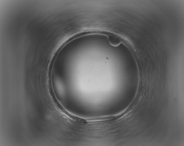 X0000060741279200511101058