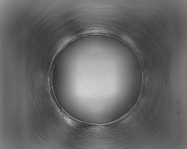 X0000060741282200511101058