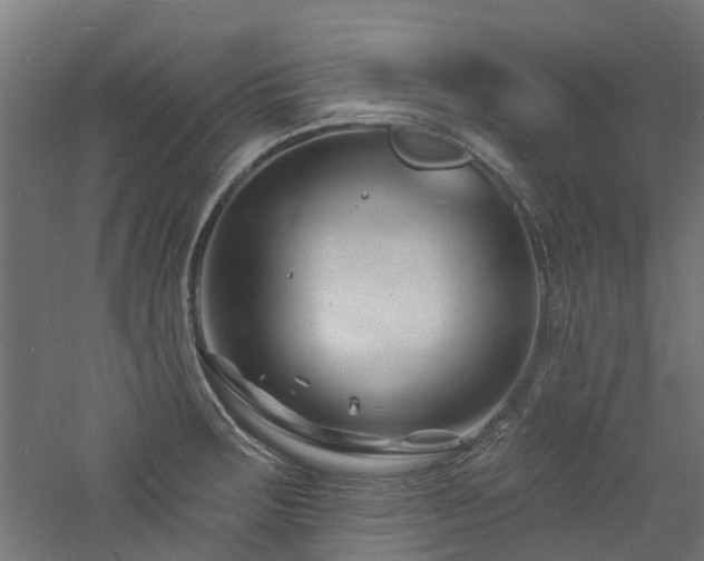 X0000060741283200511101058