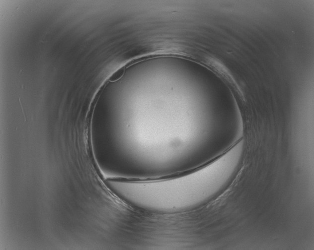 X0000060741284200511101058