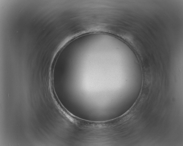 X0000060741286200511101058