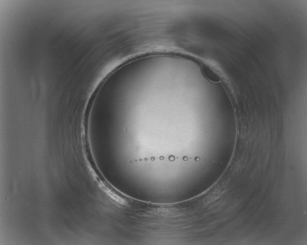 X0000060741287200511101058