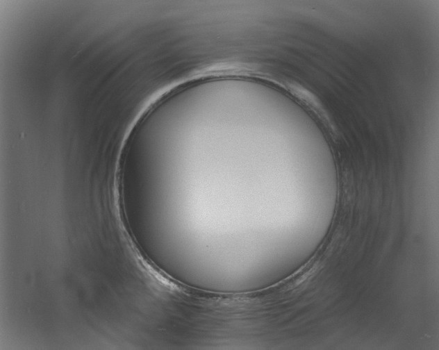 X0000060741288200511101058