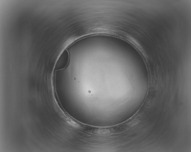 X0000060741291200511101058