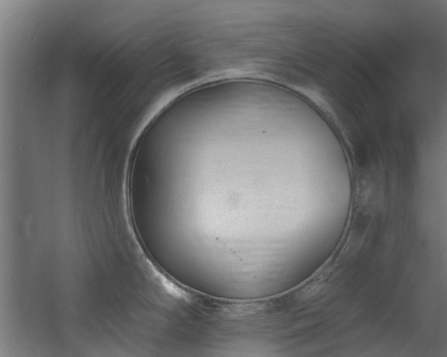 X0000060741294200511101058