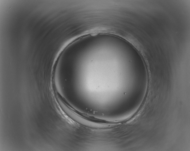 X0000060741296200511101058