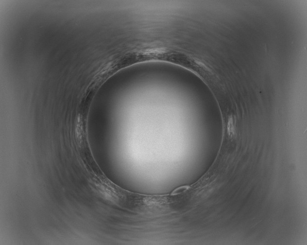 X0000060741299200511101057