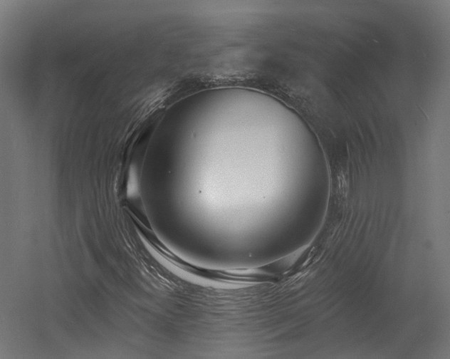 X0000060741300200511101057