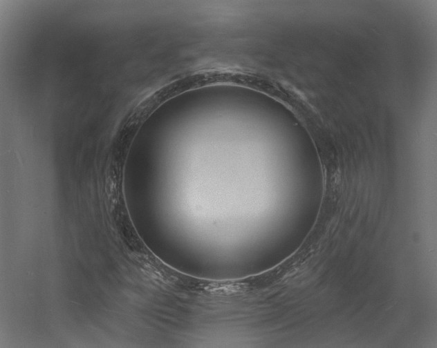 X0000060741303200511101057