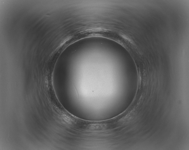 X0000060741305200511101057