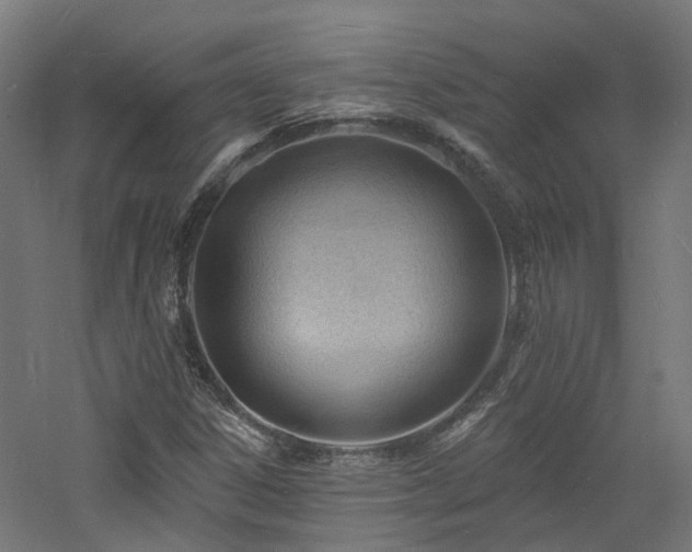 X0000060741306200511101057