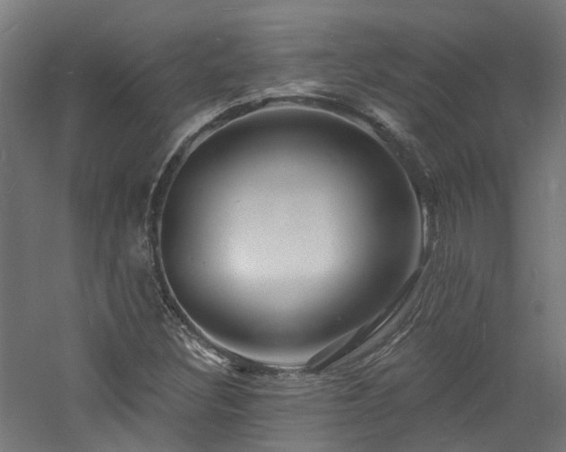 X0000060741308200511101057