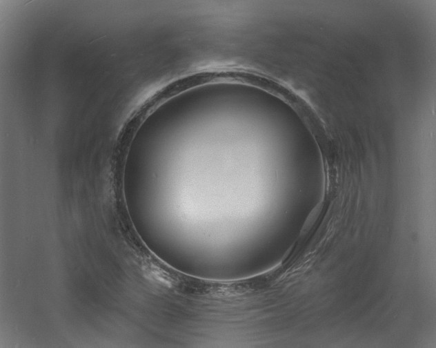 X0000060741311200511101057