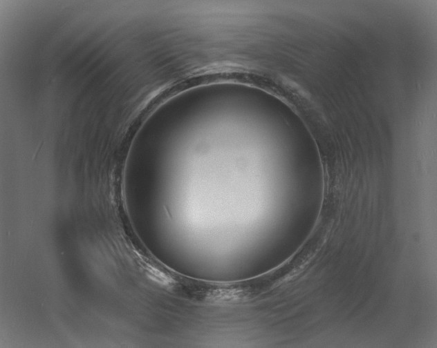 X0000060741313200511101057