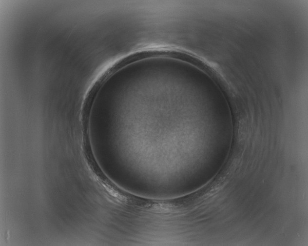 X0000060741319200511101057