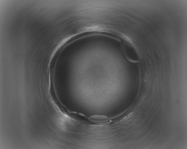 X0000060741323200511101058