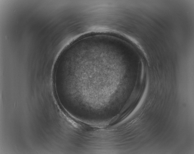 X0000060741327200511101058