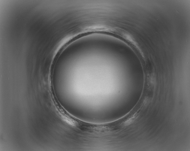 X0000060741328200511101058