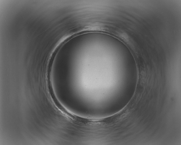 X0000060741331200511101058