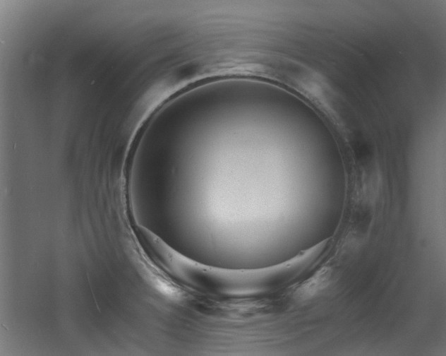 X0000060741332200511101058