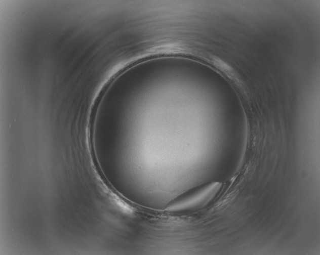 X0000060741334200511101058