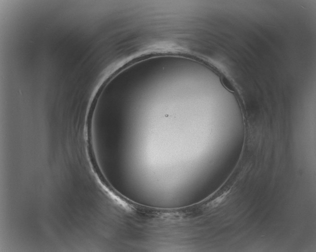 X0000060741335200511101058