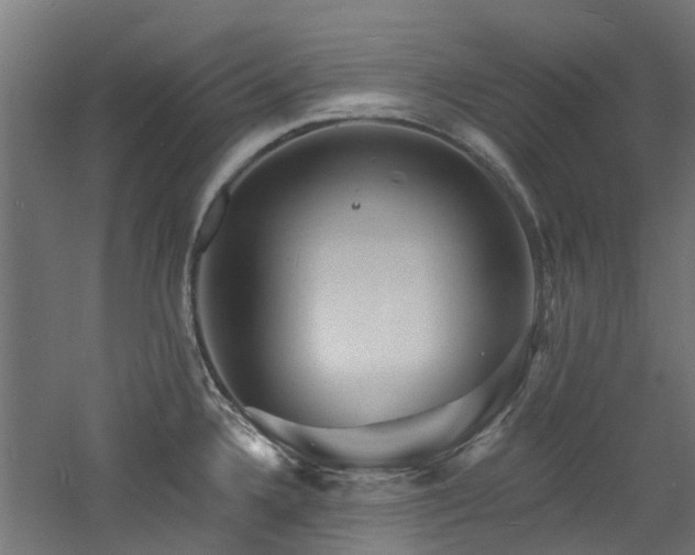 X0000060741336200511101058