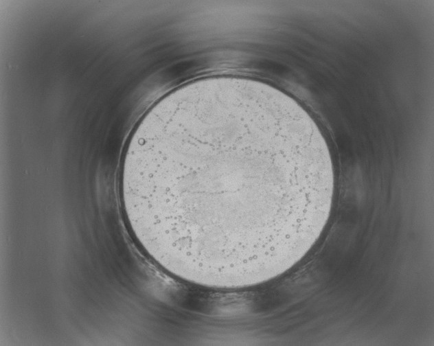 X0000060741338200511101058