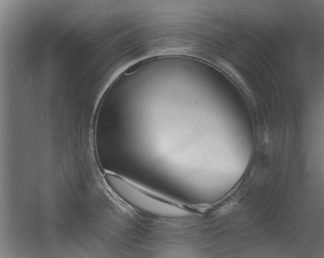 X0000060741340200511101058