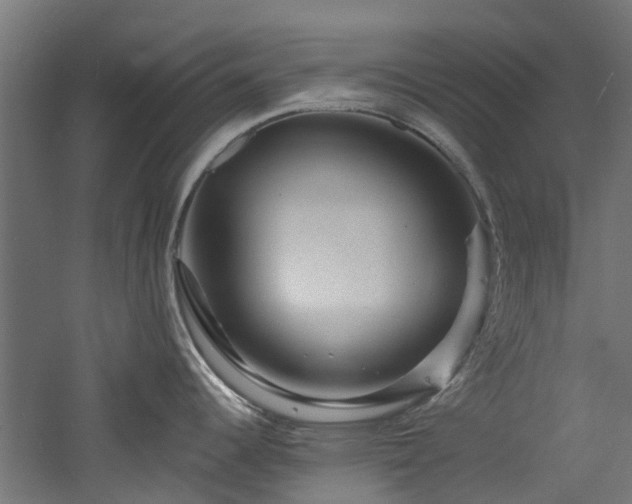 X0000060741344200511101058