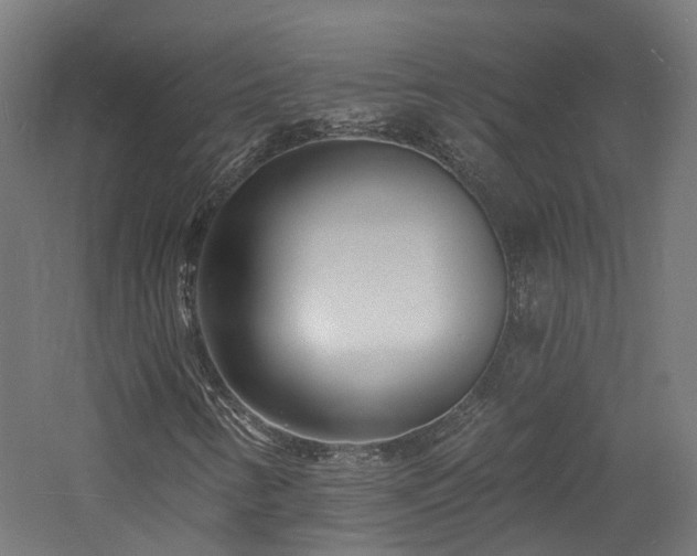 X0000060741346200511101057