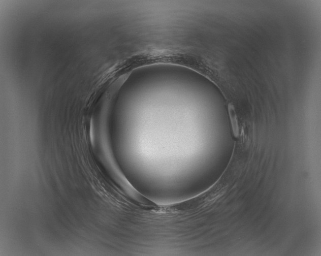 X0000060741348200511101057