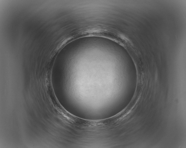 X0000060741353200511101057