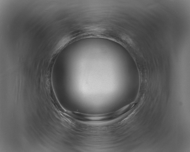 X0000060741354200511101057