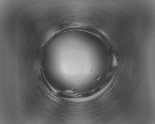 X0000060741355200511101057